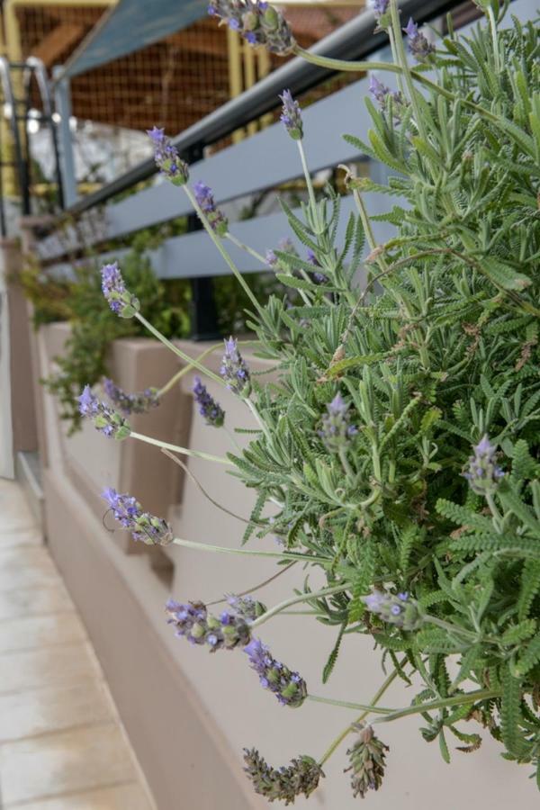 Aromatic Home Kissamos Bagian luar foto